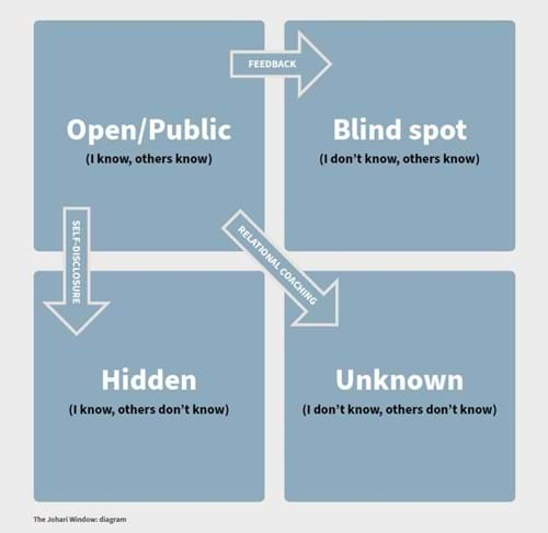 Belbin Team Roles and the Johari Window Model