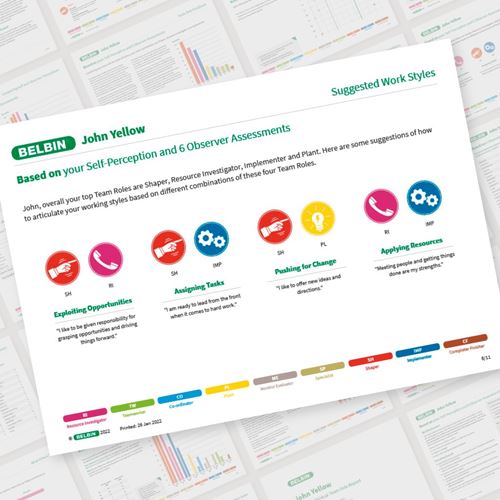 Use Belbin ‘Passports’ to Create Interconnected Networks of Teams