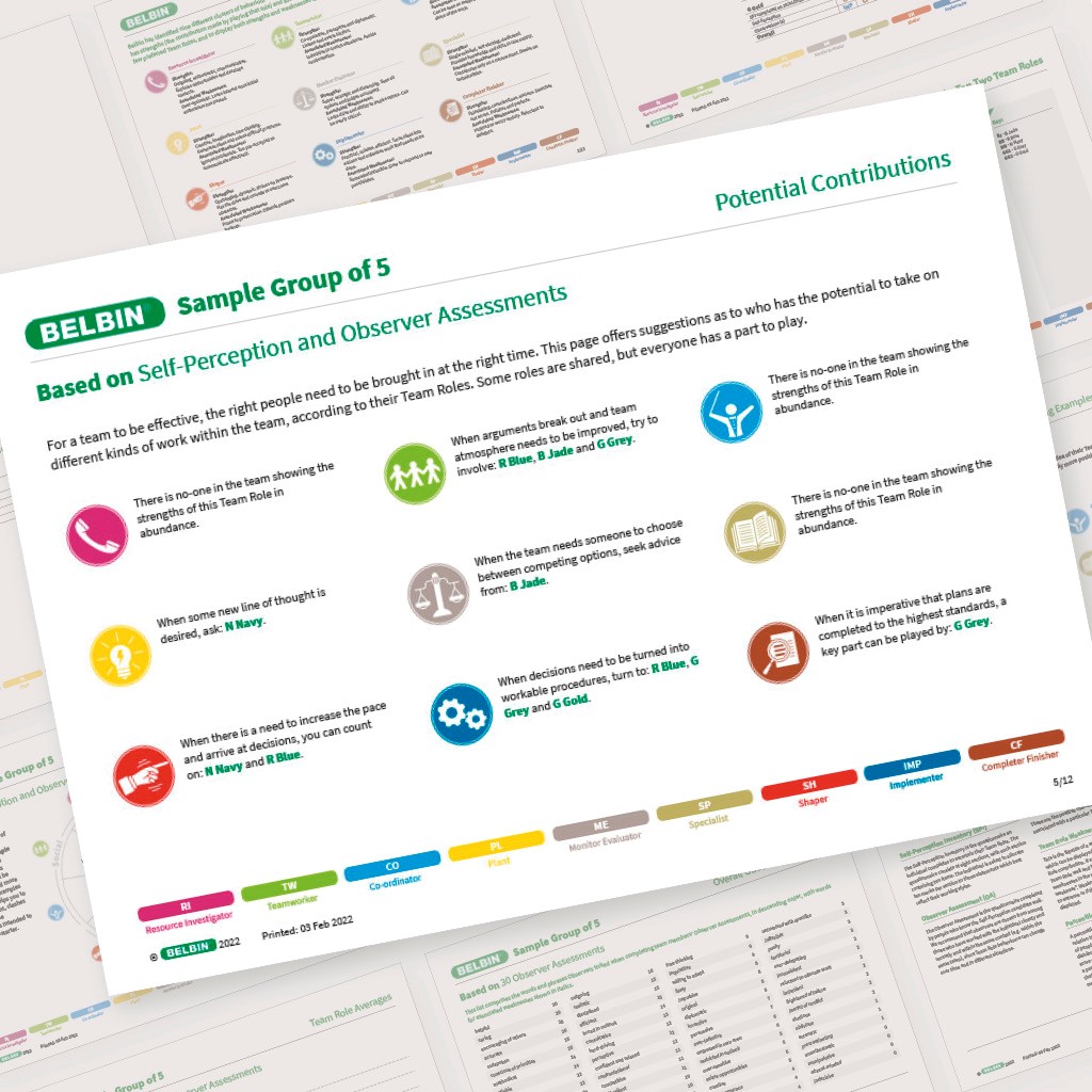 Belbin Team Report