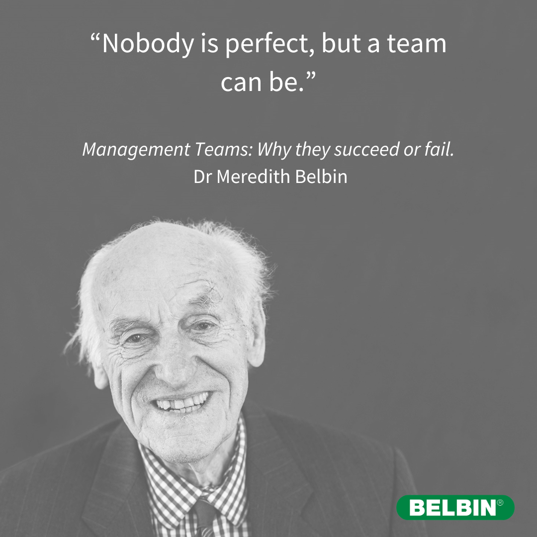 Nobody Is Perfect But A Team Can Be
