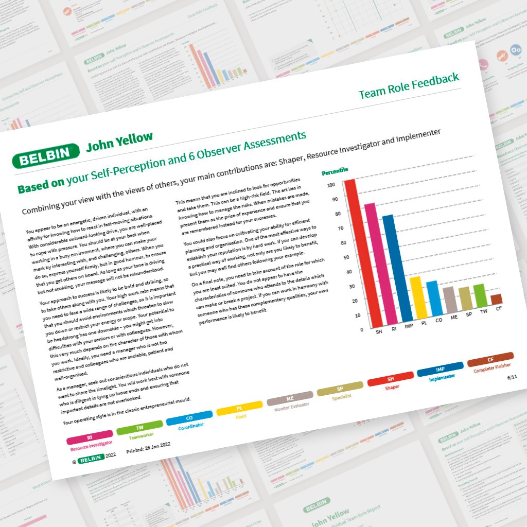 John Yellow Page 6 Showcase Belbin Team Role Report