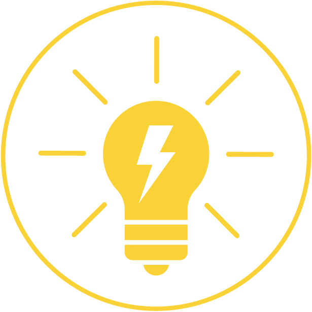 Plant with creative egg recipe