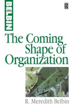 Team Roles at Work